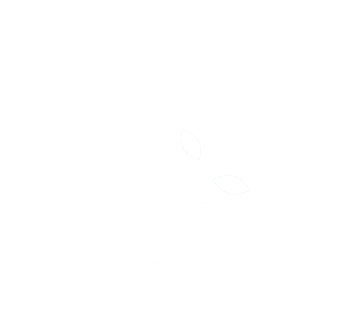komorebi